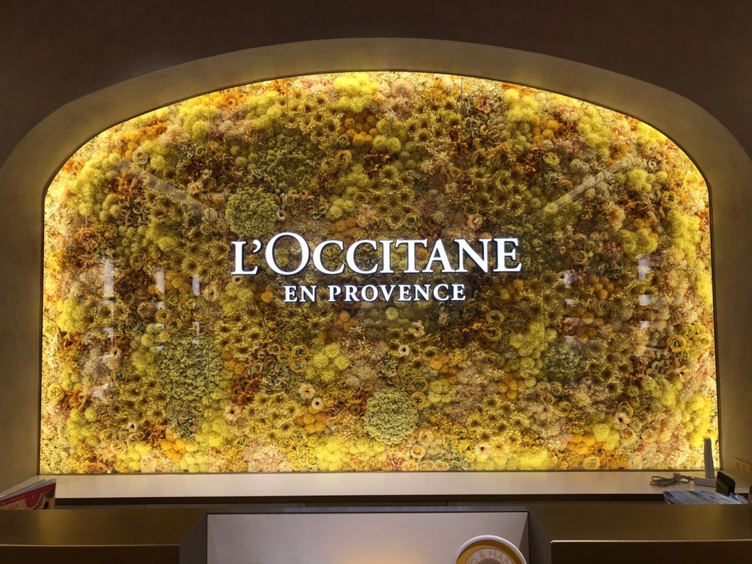 L'OCCITANE — LUMINE EST