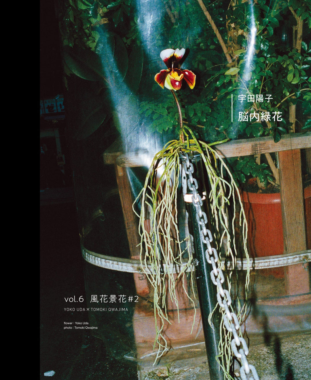 脳内緑花 vol.06 ｜ 風花景花 #2