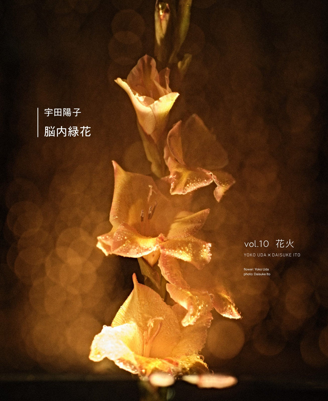 脳内緑花 vol.10 ｜ 花火