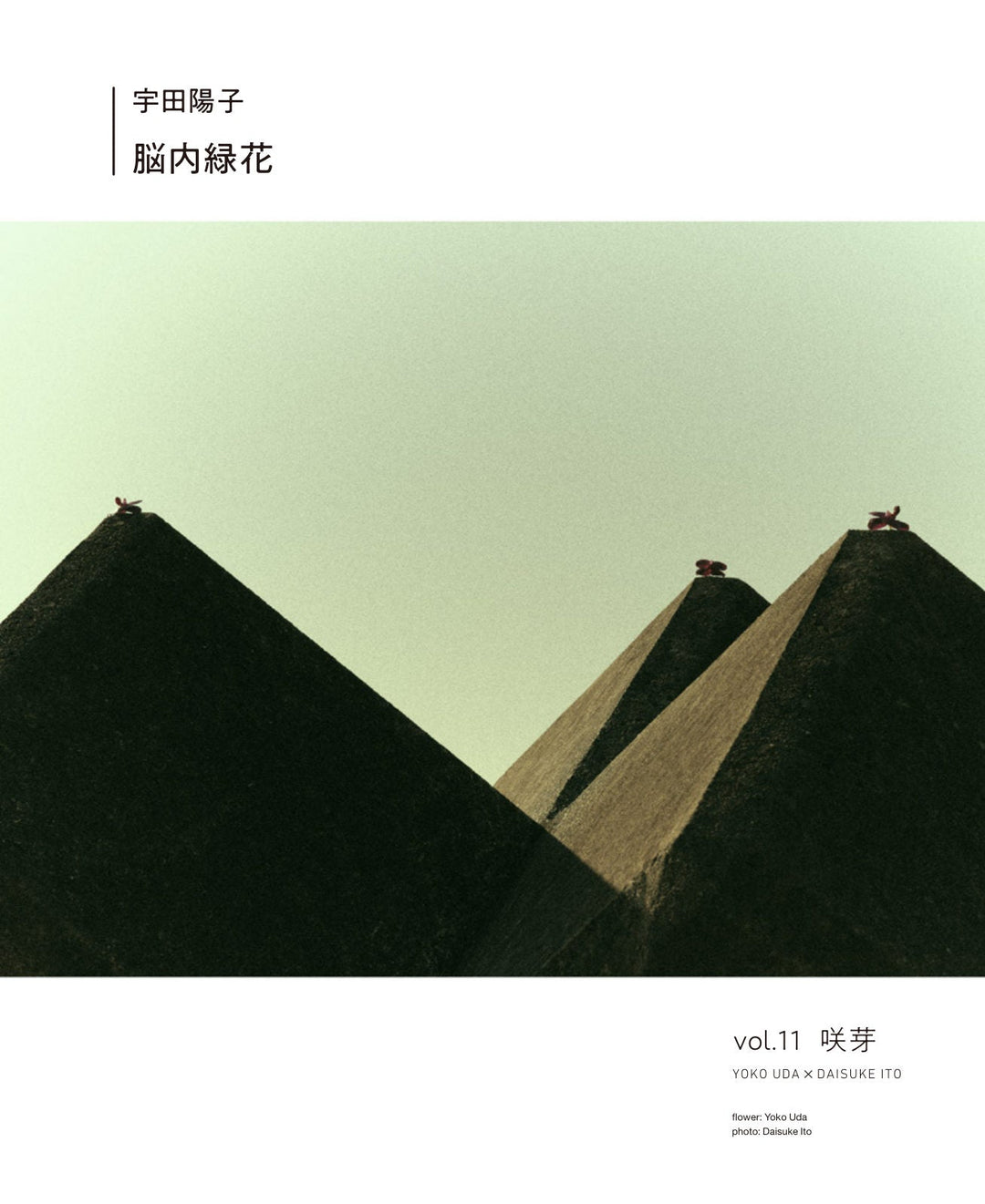 脳内緑花 vol.11 ｜ 咲芽