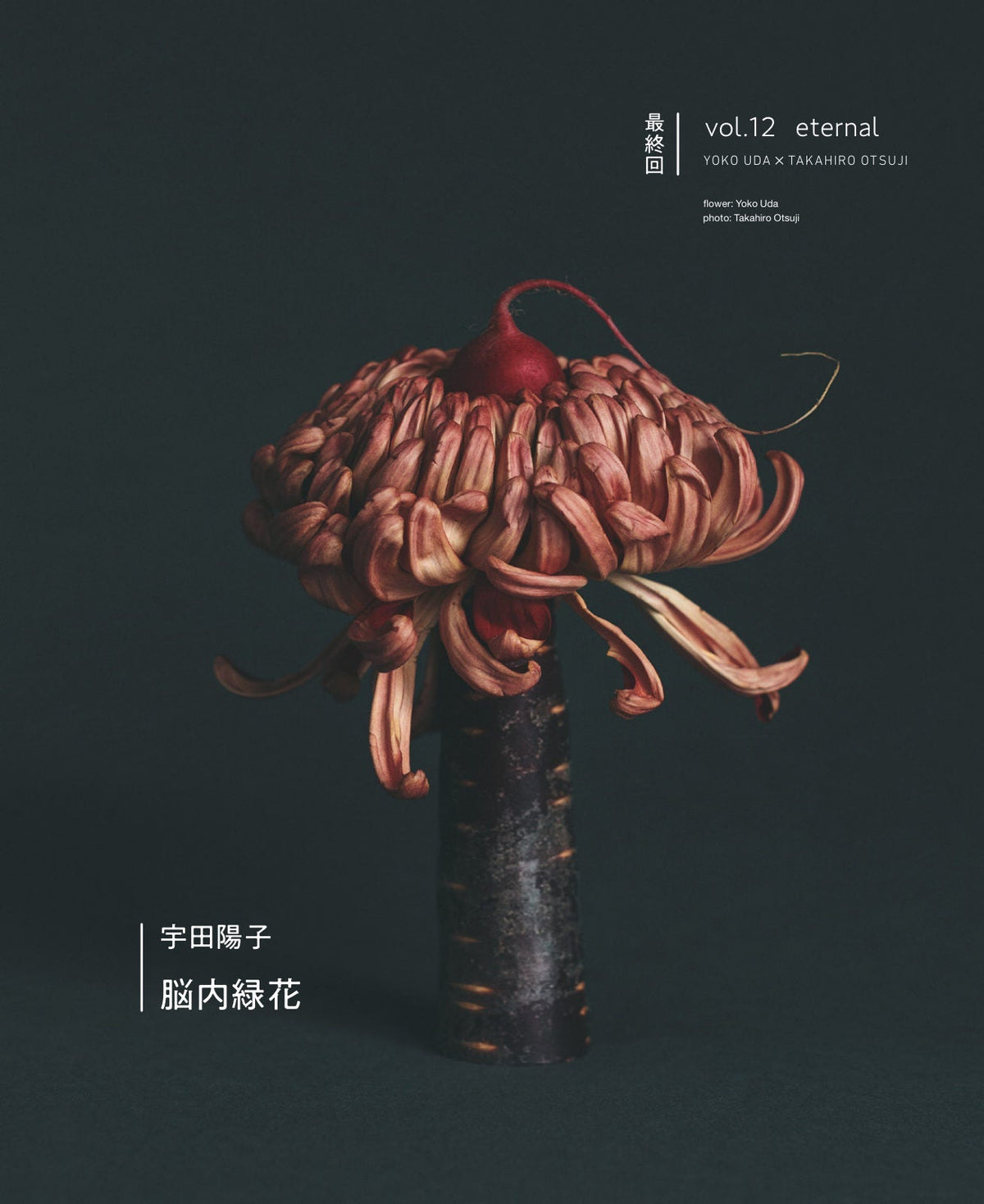脳内緑花 vol.12 ｜ eternal（最終回）