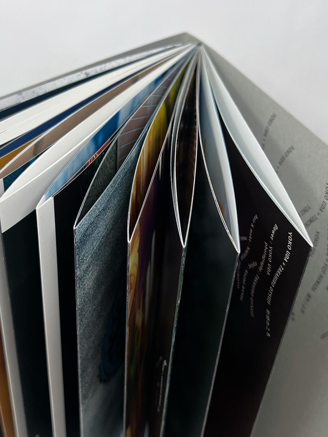 PAVILION! 『脳内緑花』 collaborate collectionBOOK