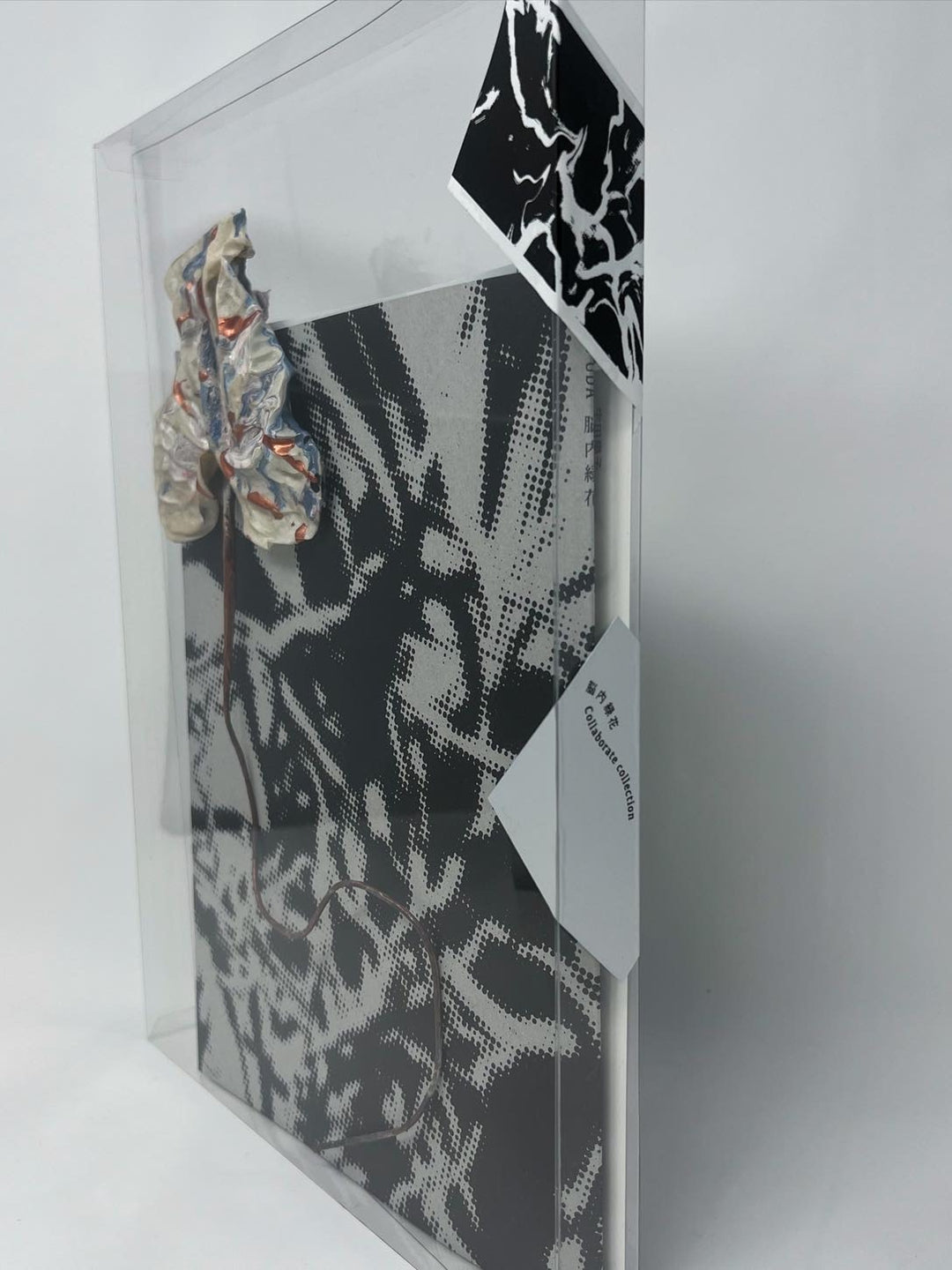 PAVILION! 『脳内緑花』 collaborate collectionBOOK   [Special package] 限定