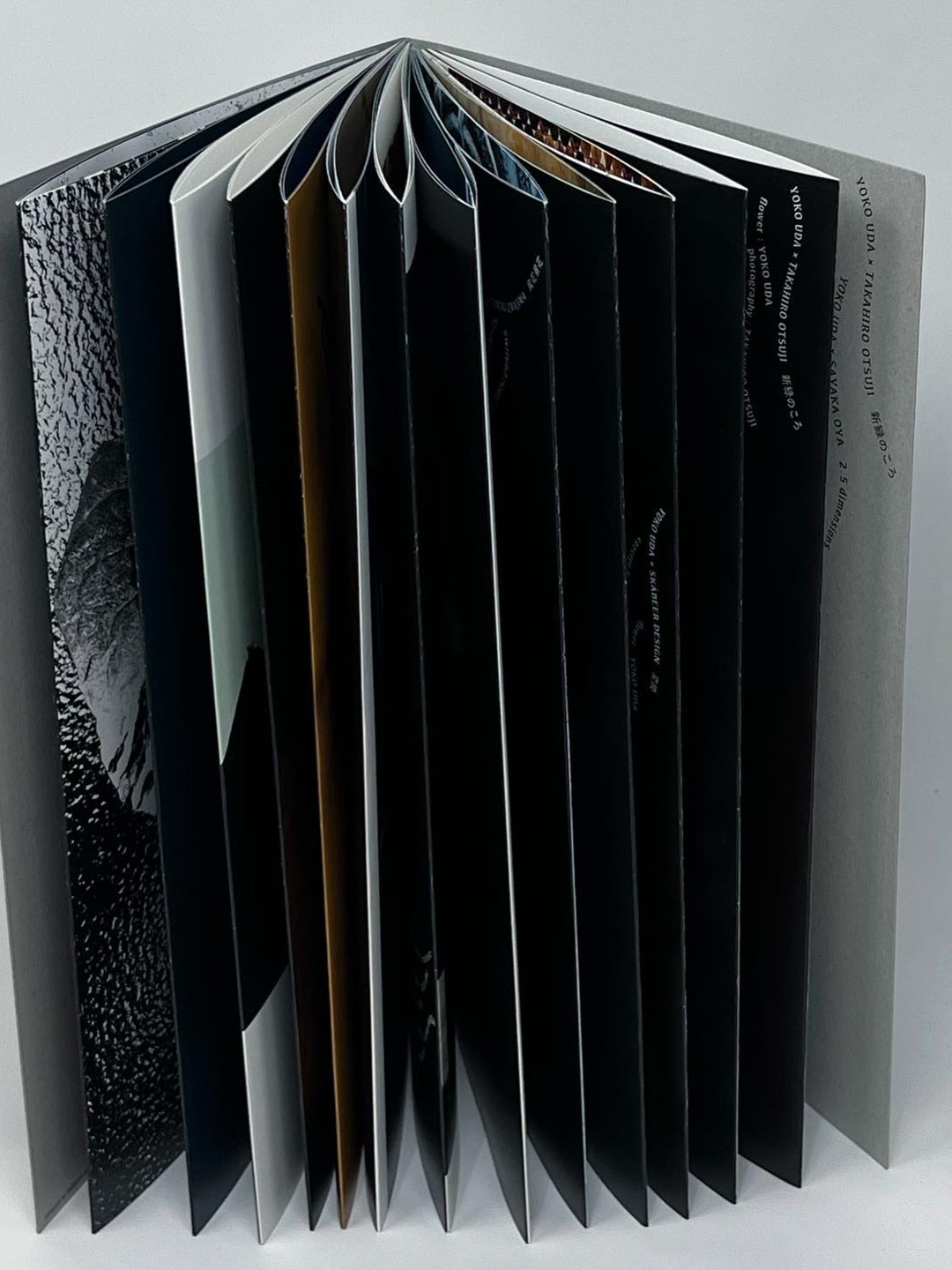 PAVILION! 『脳内緑花』 collaborate collectionBOOK