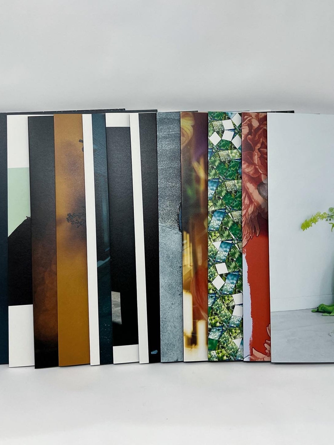 PAVILION! 『脳内緑花』 collaborate collectionBOOK