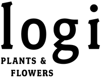 logi / port gallery
